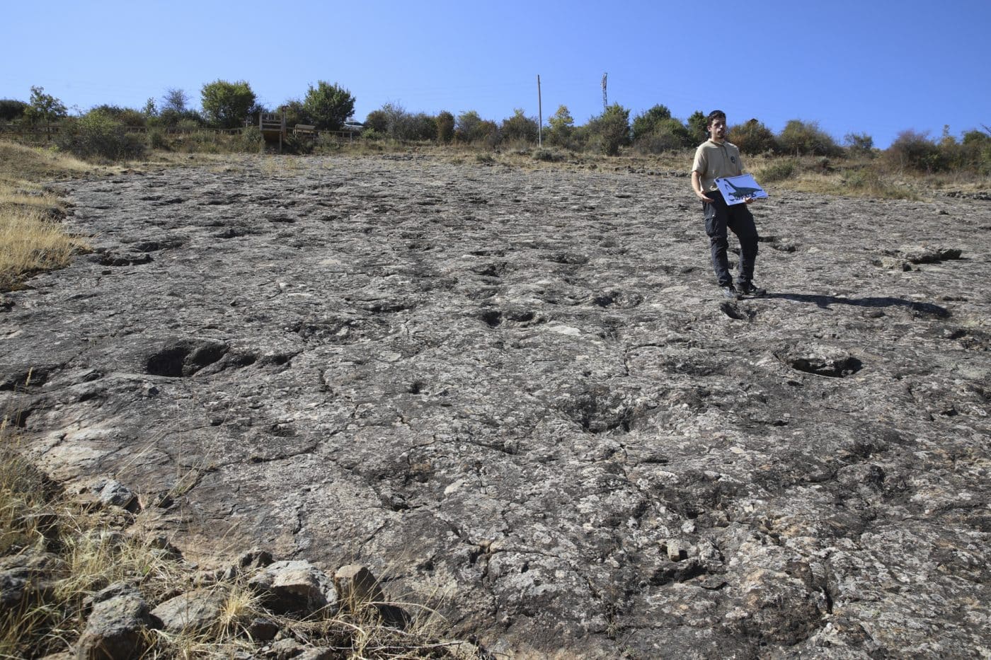 ‘La Pellejera’ luce sus huellas de dinosaurio: 730 icnitas y un rastro único en La Rioja 1
