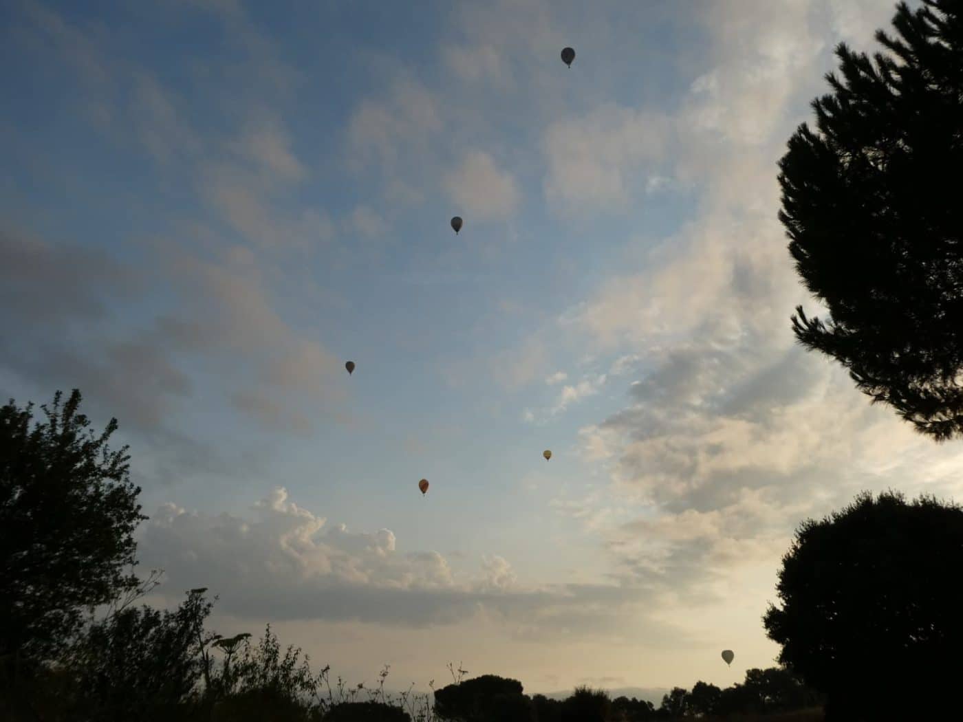 Los globos levantan el vuelo en Haro con el Campeonato de España 6