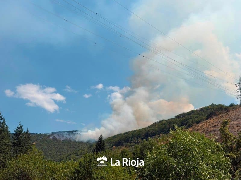 Inicio 1