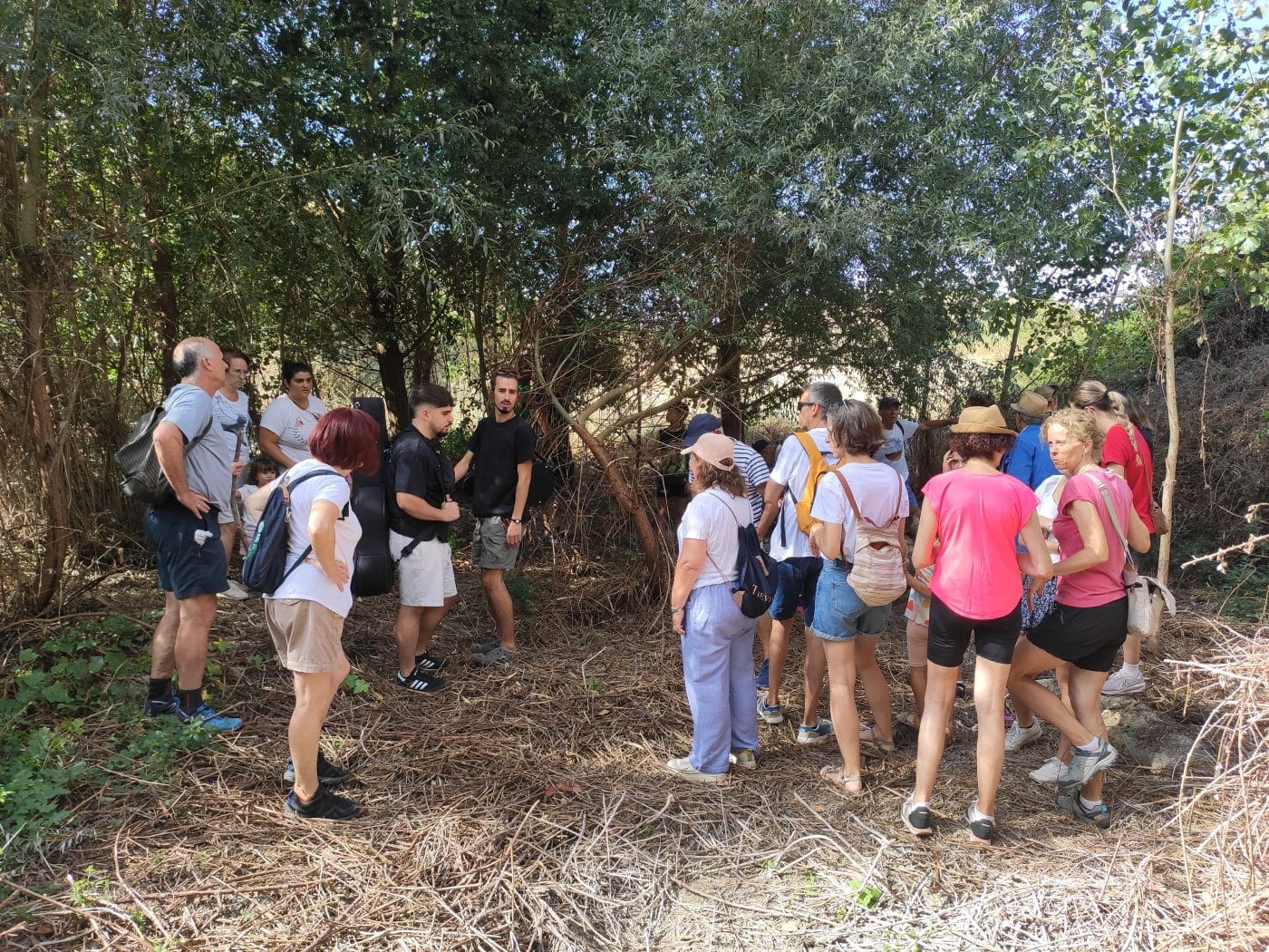 Vivace devuelve a Treviana la historia y la música de la Fuente de los Nudos 2