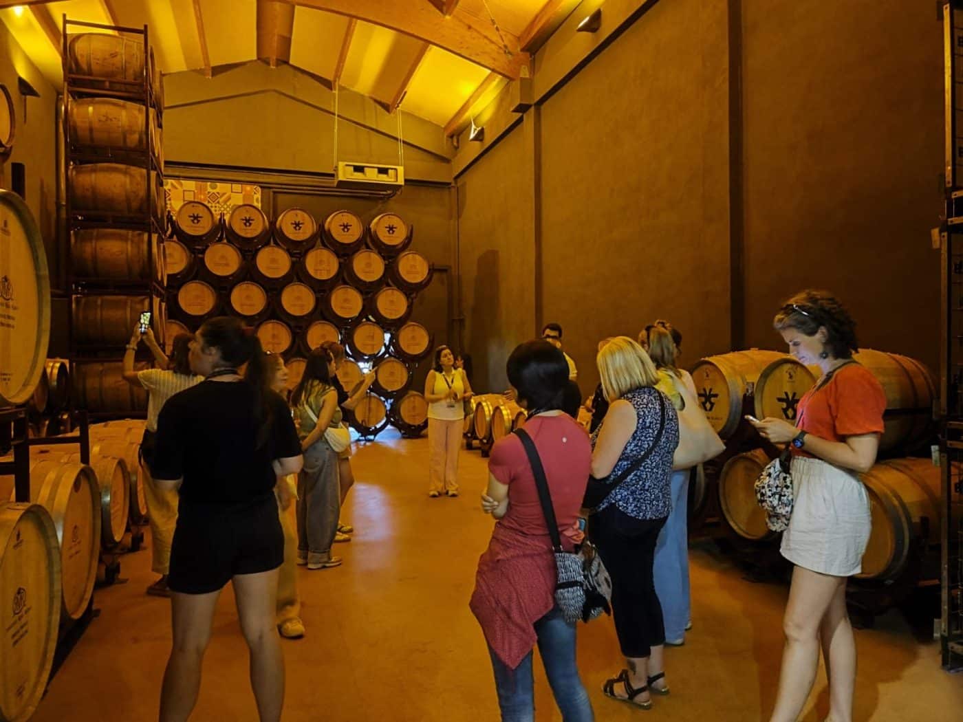 La Rioja muestra su oferta turística a quince turoperadores internacionales 4