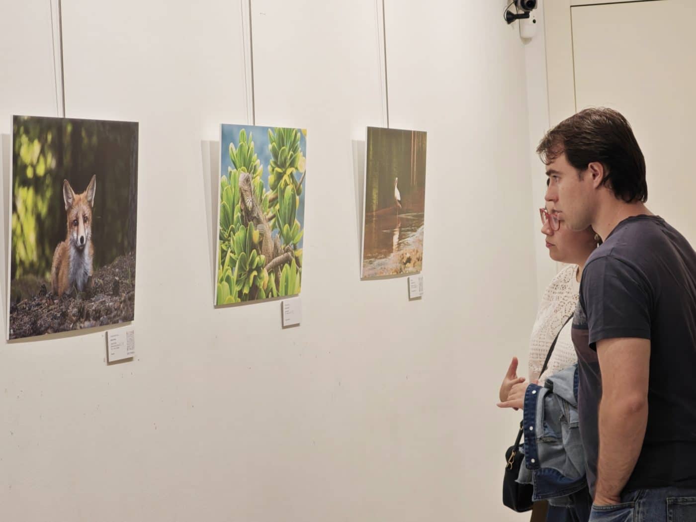 Santo Domingo de la Calzada acoge la exposición de fotografía 'Naturaleza' de la Asociación Enfoque Rioja 2