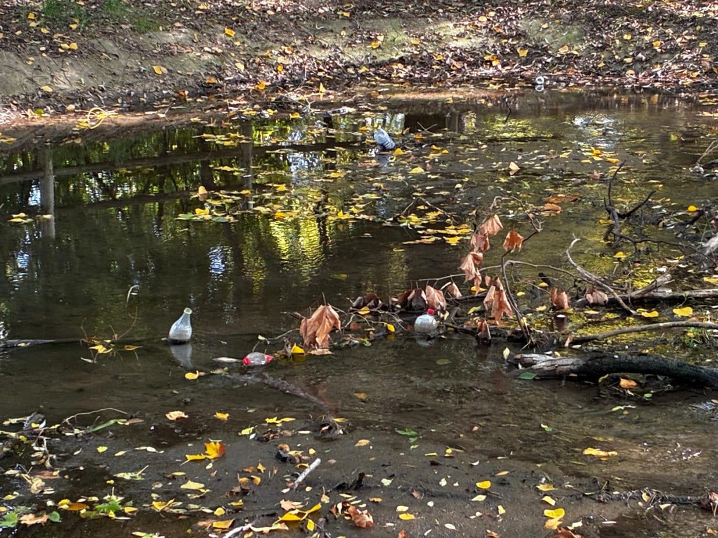 BUZÓN CIUDADANO: "Botellas y basura en el estanque de Fuente del Moro" 1