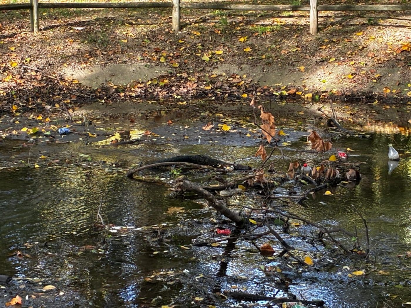 BUZÓN CIUDADANO: "Botellas y basura en el estanque de Fuente del Moro" 2