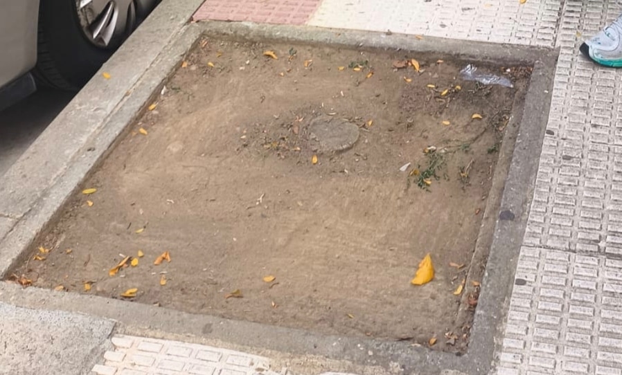 El ecomapeo ciudadano registra 383 alcorques con deficiencias en Haro 4