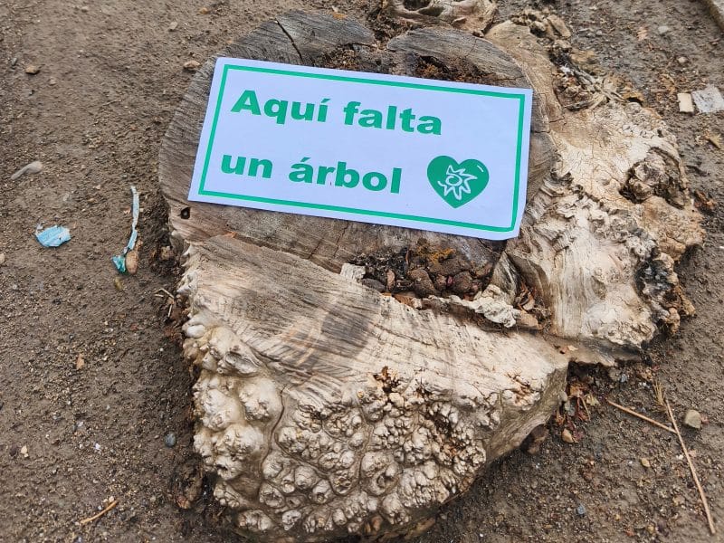 Inicio 2