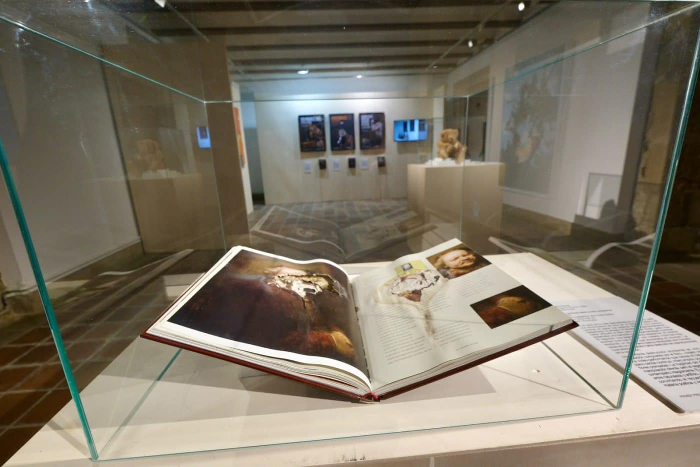 La Muestra Itinerante de Arte Joven llega por primera vez al Palacio de las Bezaras de Haro 4