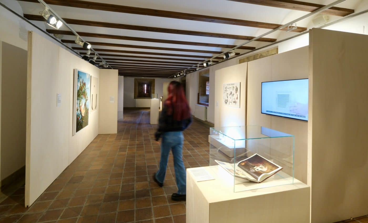 La Muestra Itinerante de Arte Joven llega por primera vez al Palacio de las Bezaras de Haro 2