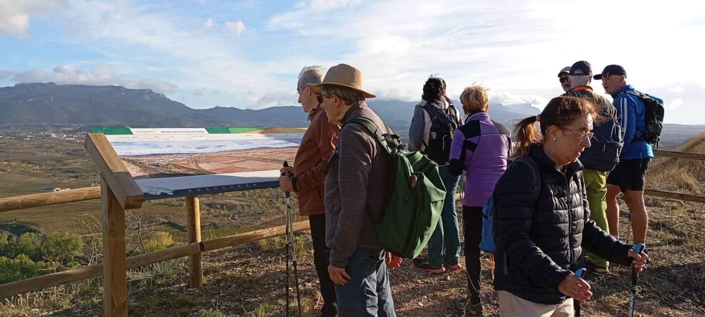 Más de una veintena de personas participa en el paseo saludable entre viñedos por el entorno de Haro 1