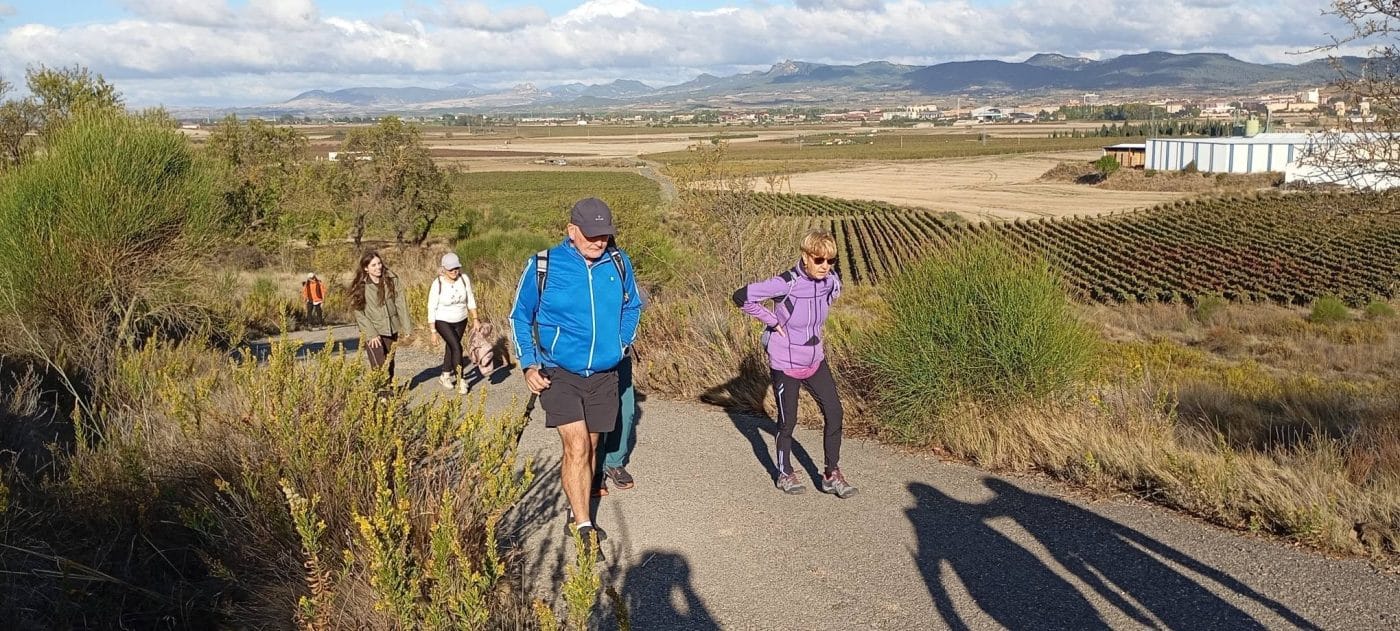 Más de una veintena de personas participa en el paseo saludable entre viñedos por el entorno de Haro 2